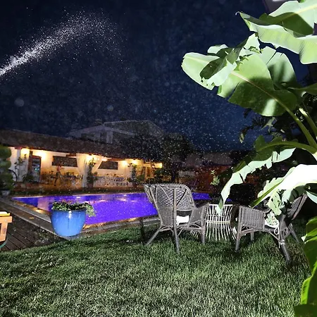 Cayirli アラカティ