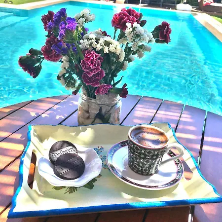 ベッド・アンド・ブレックファスト Cayirli 2*