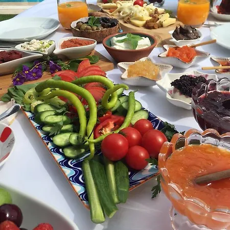 فندق مبيت وإفطار Cayirli