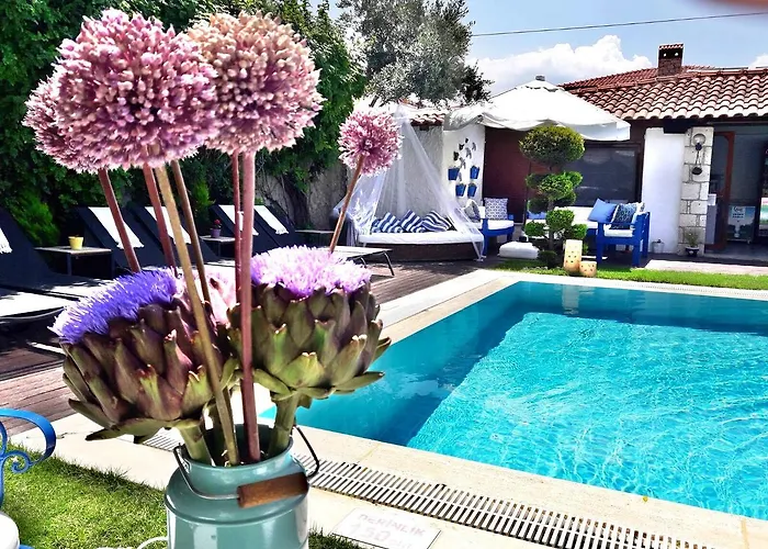 Cayirli אלאקאטי